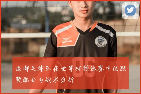 成都足球队在世界杯预选赛中的默契配合与战术分析