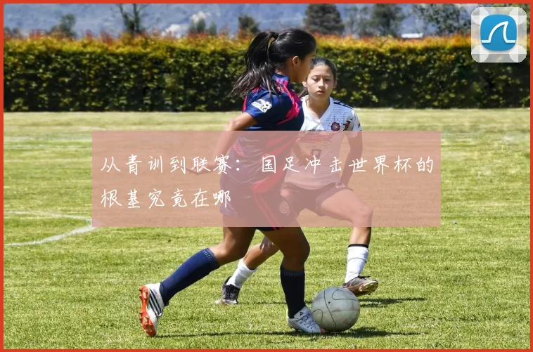 从青训到联赛：国足冲击世界杯的根基究竟在哪