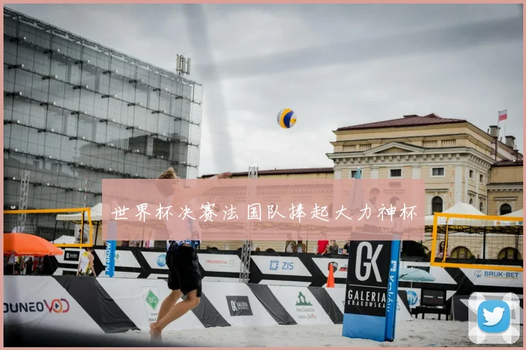 世界杯决赛法国队捧起大力神杯